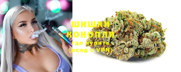 ешки Алзамай