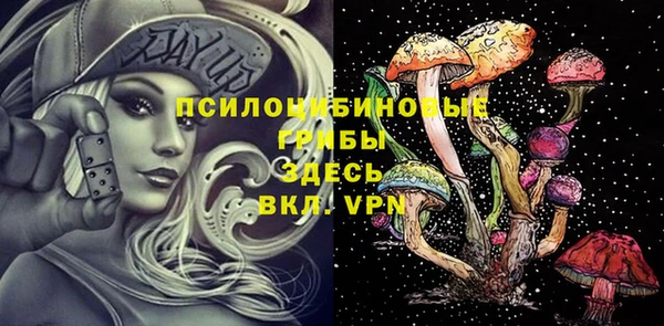 тгк Алексин