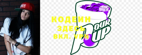 ешки Алзамай
